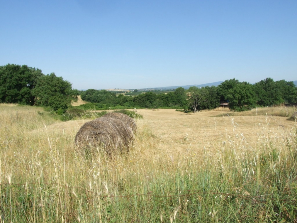 DSCF4852 (FILEminimizer).JPG